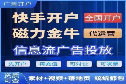 竞价推广策略解析：实战案例分析