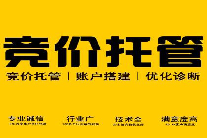 百度竞价排名案例：打造爆款广告的秘诀